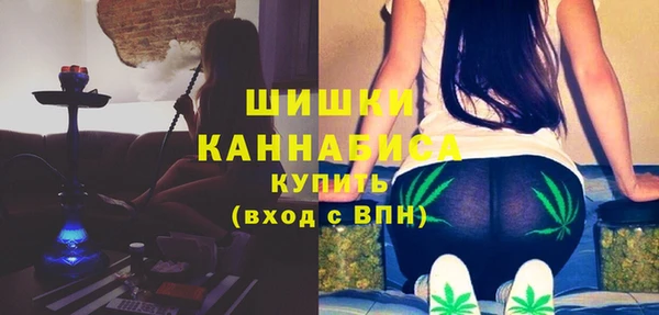 дживик Володарск