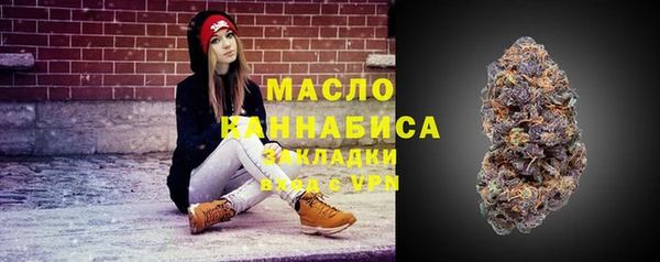 дживик Володарск