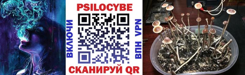 Псилоцибиновые грибы мицелий  мега рабочий сайт  Саранск  купить наркоту 